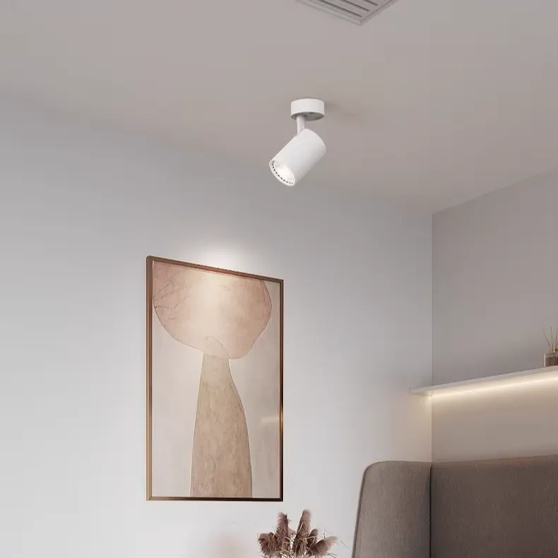 Surface-Mounted Aluminum LED Downlight 7-29W