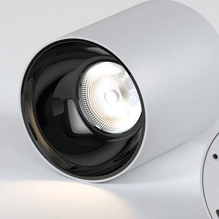 Surface-Mounted Aluminum LED Downlight 10-100W