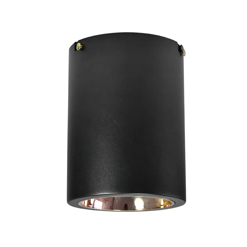 Surface-Mounted Aluminum COB LED Downlight Black 12/20W