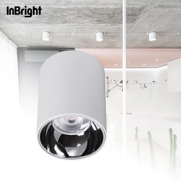 Surface-Mounted COB LED Downlight IP65