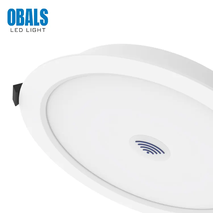 Smart Recessed Round LED Downlight 12-24W