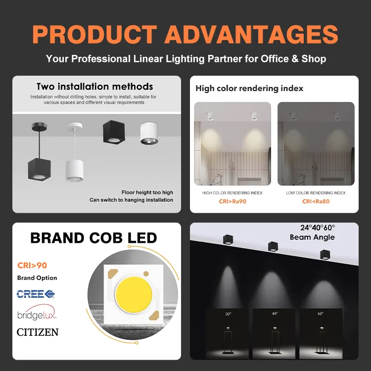 Adjustable Recessed Aluminum COB LED Downlight 12W product sample