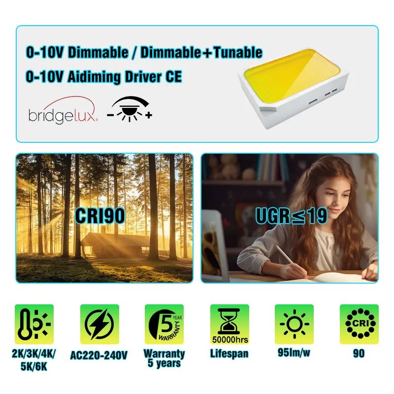 Adjustable Aluminum Magnetic COB LED Track Spotlight 30/36W For 4-Wire Track