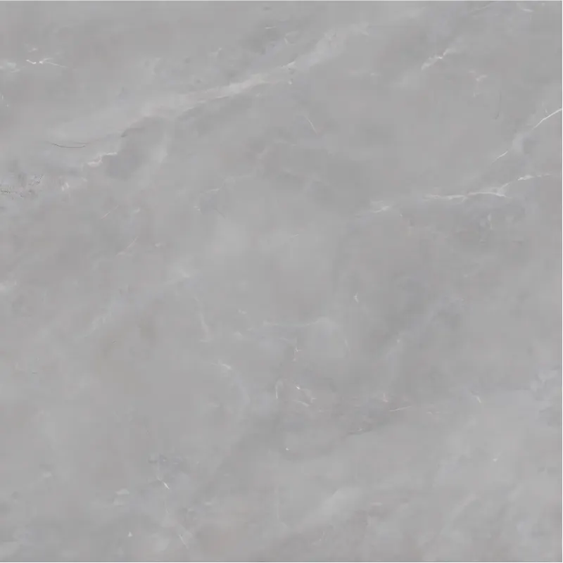 Glazed Ceramic Floor Tile 800x800mm 5mm Thick