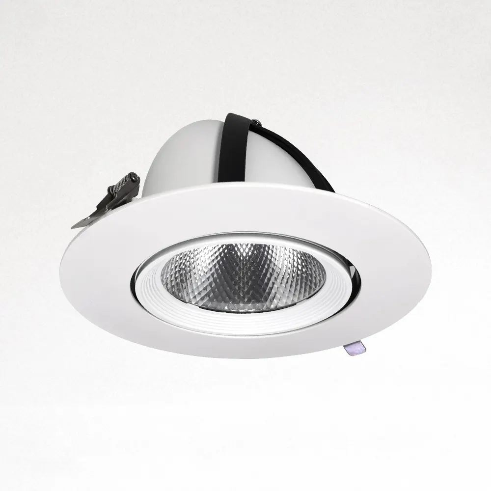 Recessed Aluminum LED Downlight 20/30W IP54 90mm product sample