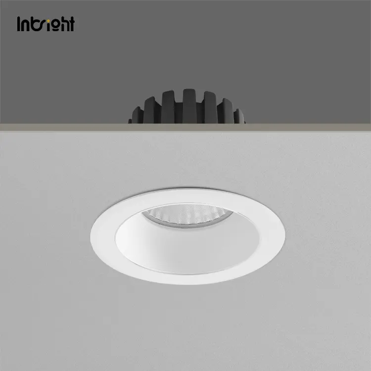 Recessed Aluminum COB LED Downlight 10-25W IP65