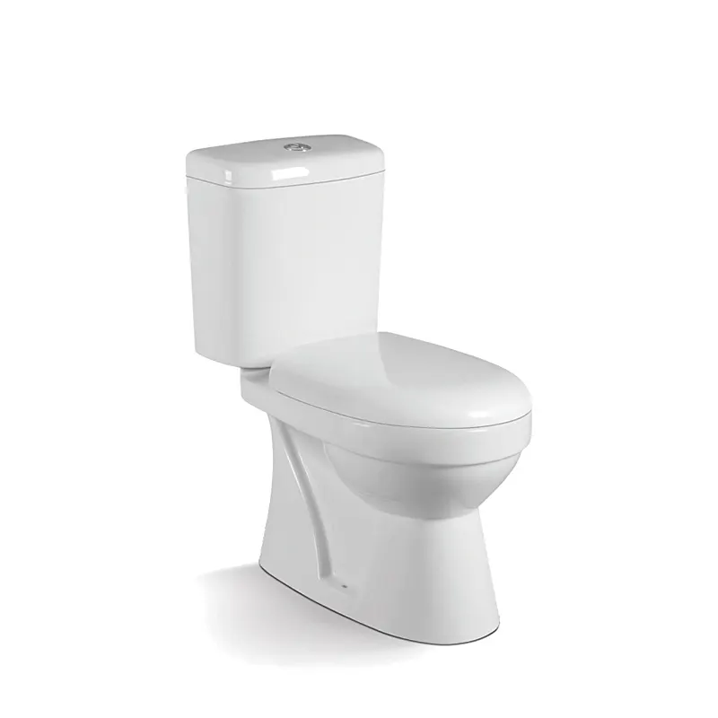 One-Piece Ceramic Toilet For Bathroom Installation