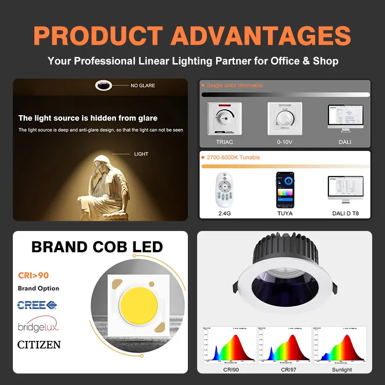 Adjustable Surface-Mounted Aluminum LED Downlight Black/White 12-55W