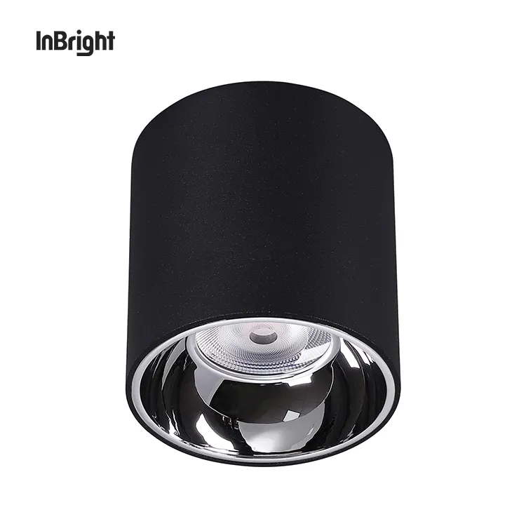 Dimmable Surface-Mounted Aluminum LED Downlight 10-50W IP65