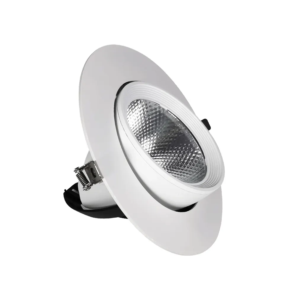 Recessed Aluminum COB LED Downlight 30/40W
