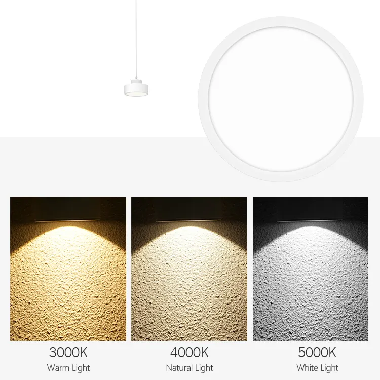 Aluminum LED Pendant Light 10-25W