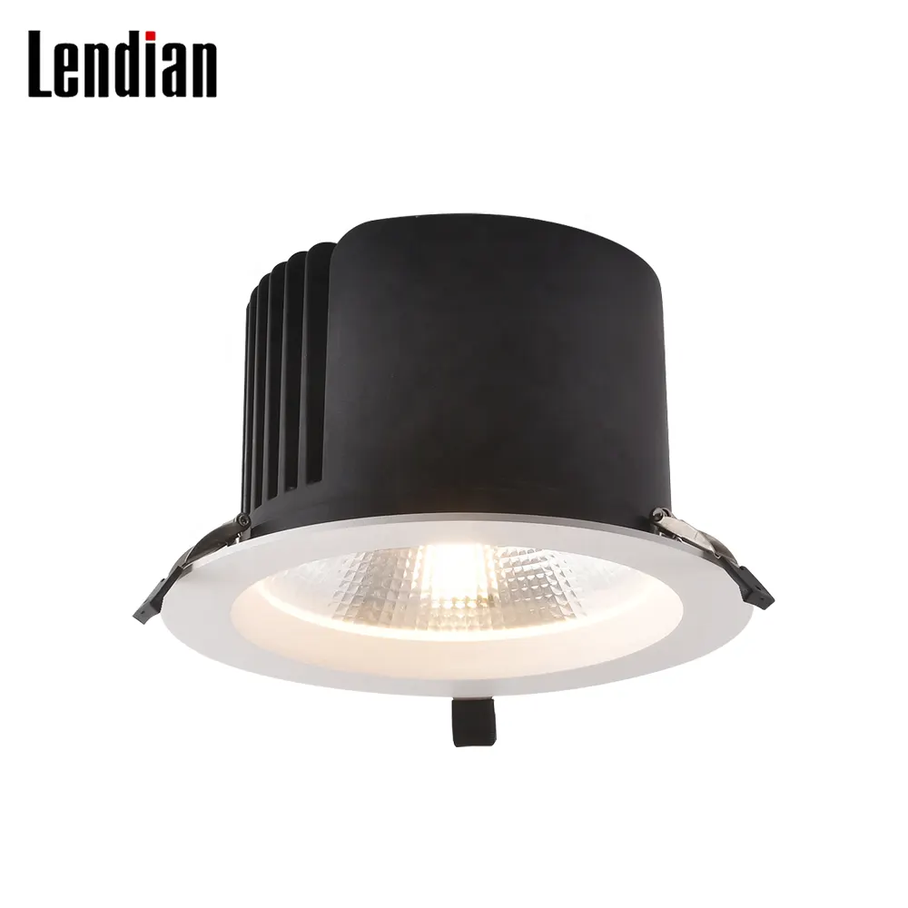 Recessed Aluminum COB LED Downlight Black 12-80W IP44/IP65