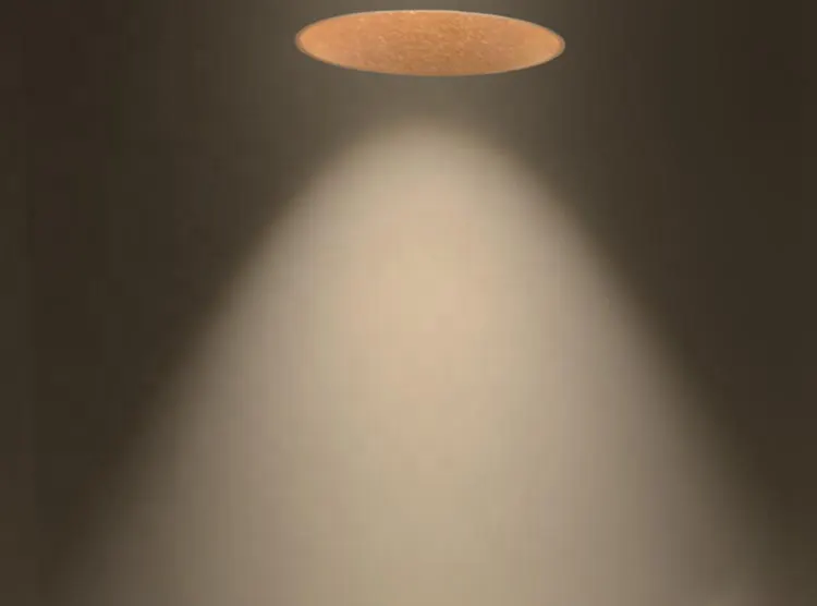 Adjustable Trimless Recessed Round LED Downlight 9-40W