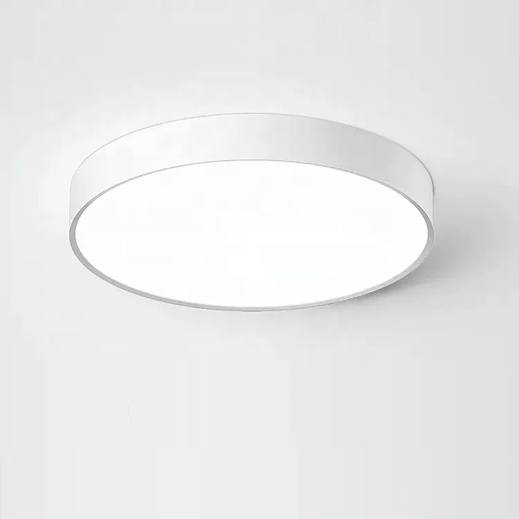Surface-Mounted Aluminum LED Ceiling Light White 24-100W