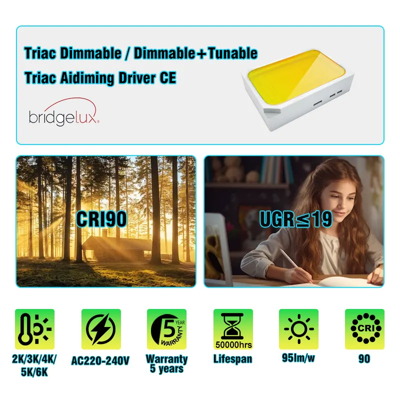 Adjustable Dimmable DALI TRIAC LED Track Spotlight 30/36W For 4-Wire Track