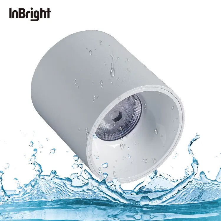 Surface-Mounted COB LED Downlight IP65