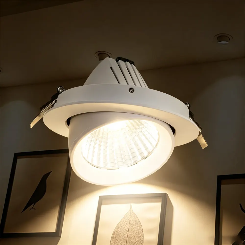 Adjustable Recessed Aluminum LED Downlight