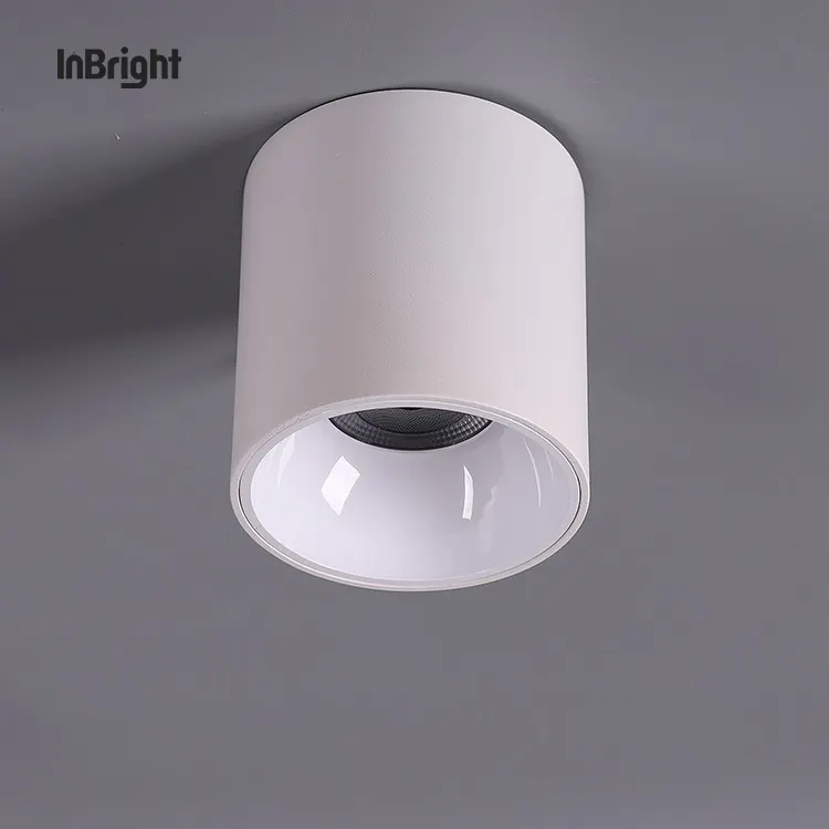 Dimmable Surface-Mounted Aluminum LED Downlight 10-50W IP65