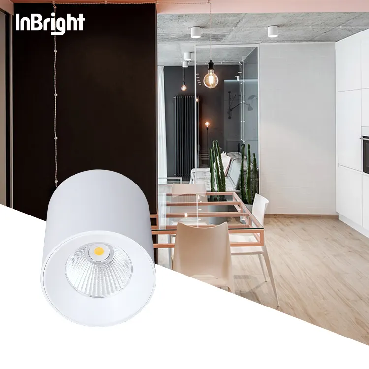 Anti-Glare Dimmable DALI Surface-Mounted COB LED Downlight Black/White 10-60W product sample