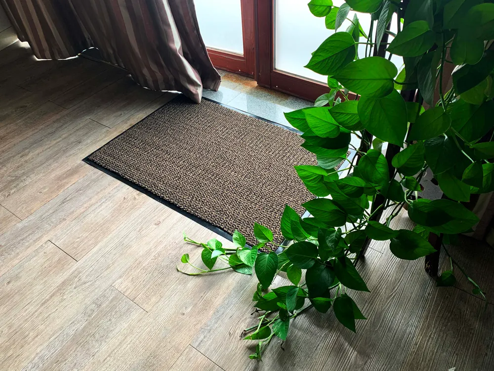 Cut-Pile Polypropylene Entrance Door Mat With PVC Backing