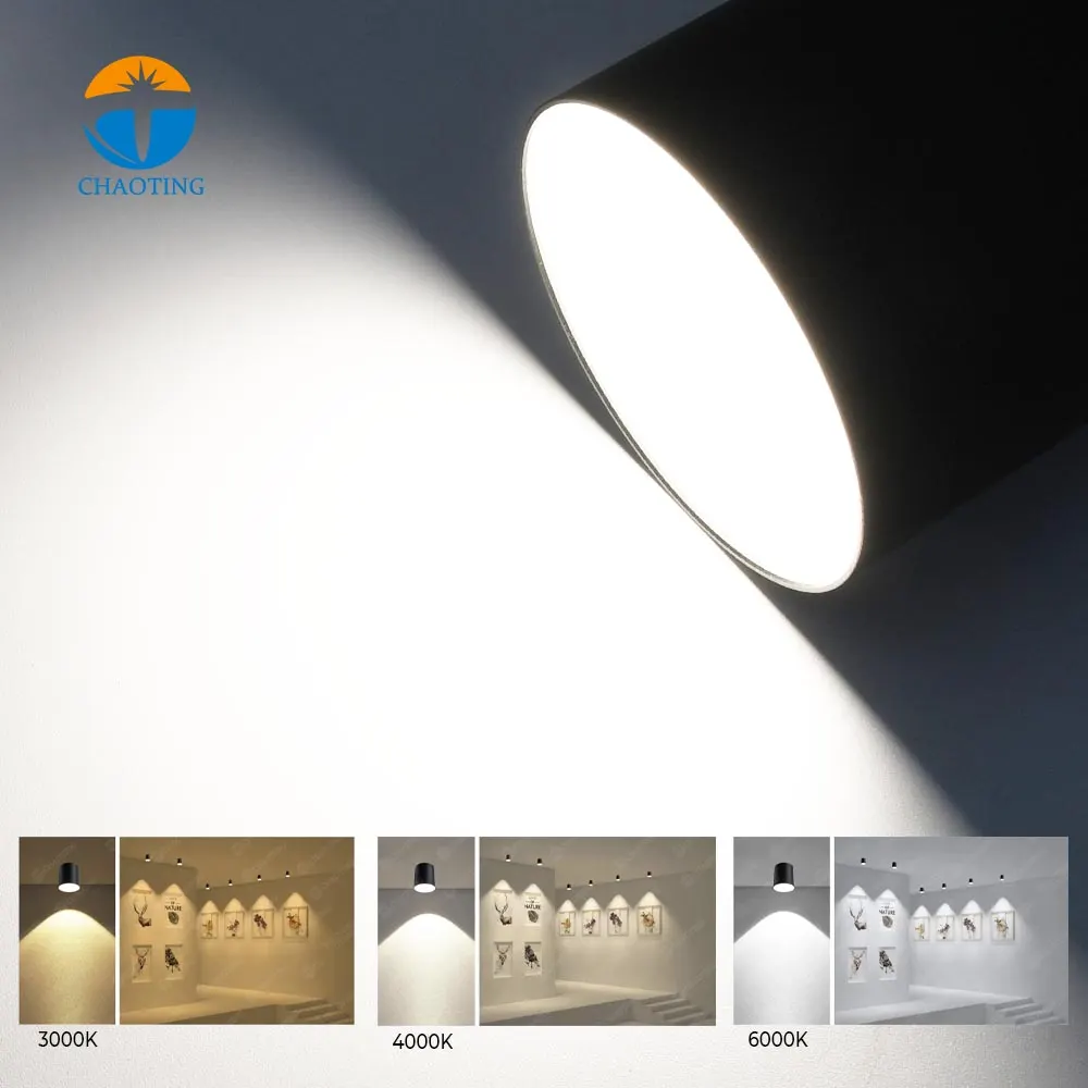 Recessed/Surface-Mounted Aluminum LED Downlight 10-30W product sample