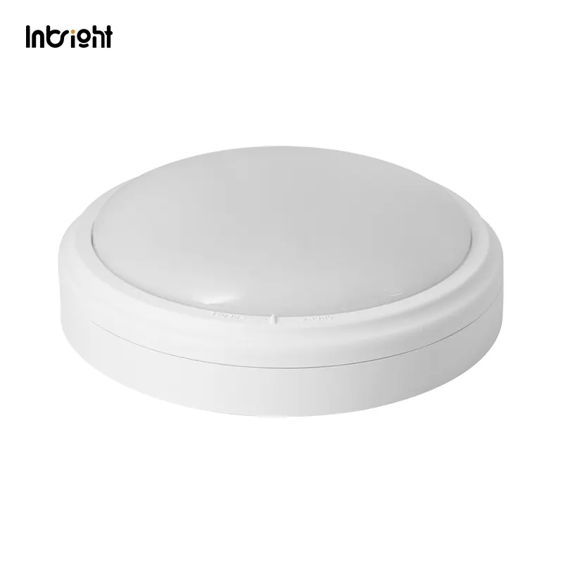 Surface-Mounted Aluminum LED Downlight 30W IP65