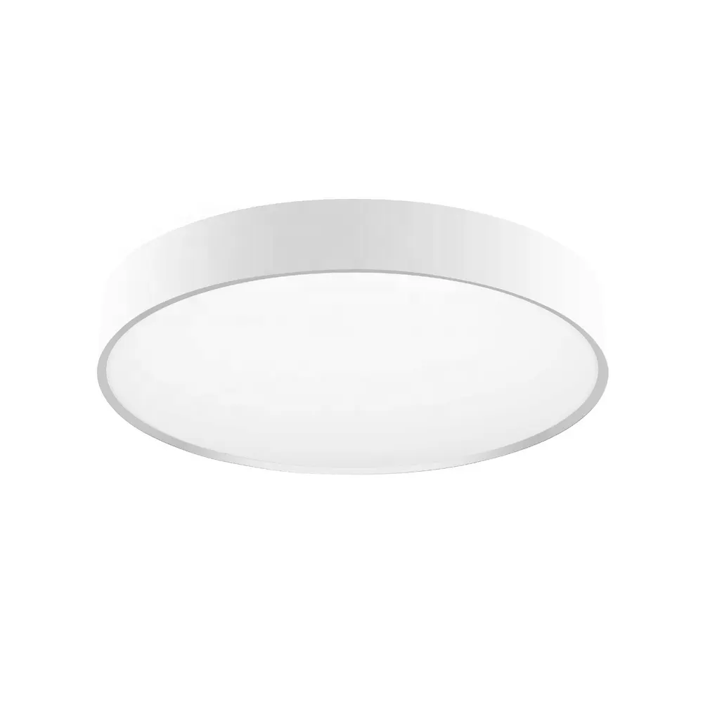 Surface-Mounted Aluminum LED Ceiling Light 24-100W