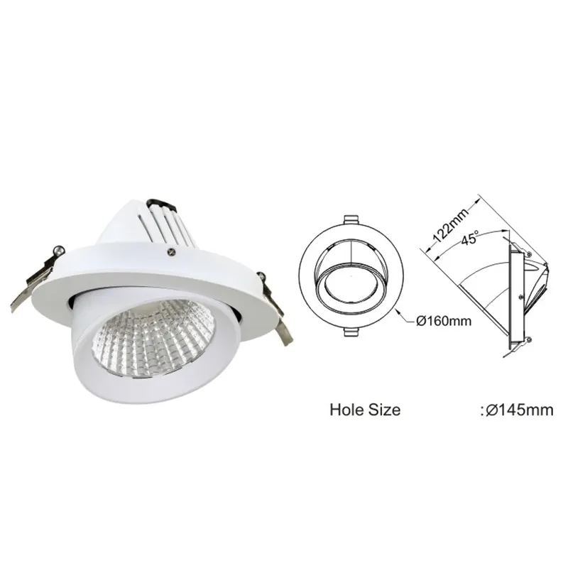 Rotatable Recessed Aluminum LED Downlight