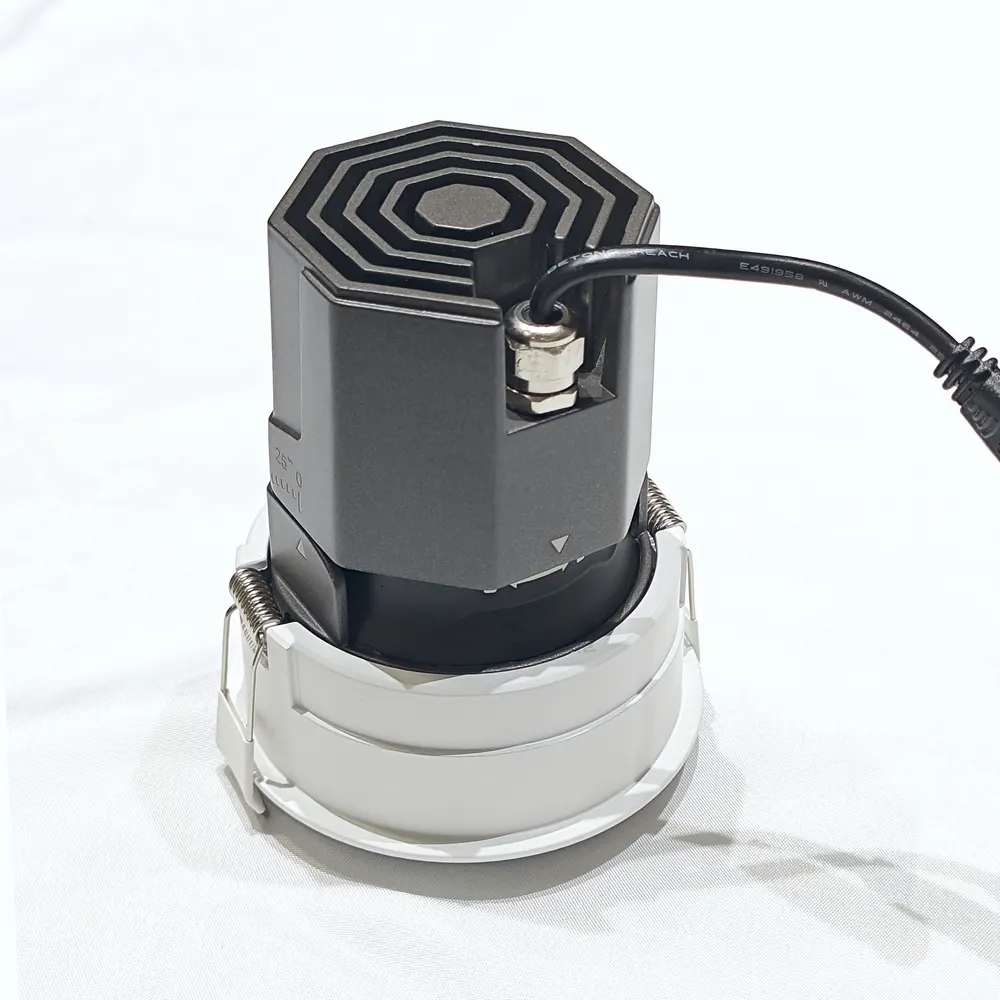 Adjustable Recessed Aluminum LED Downlight Black 20W IP65