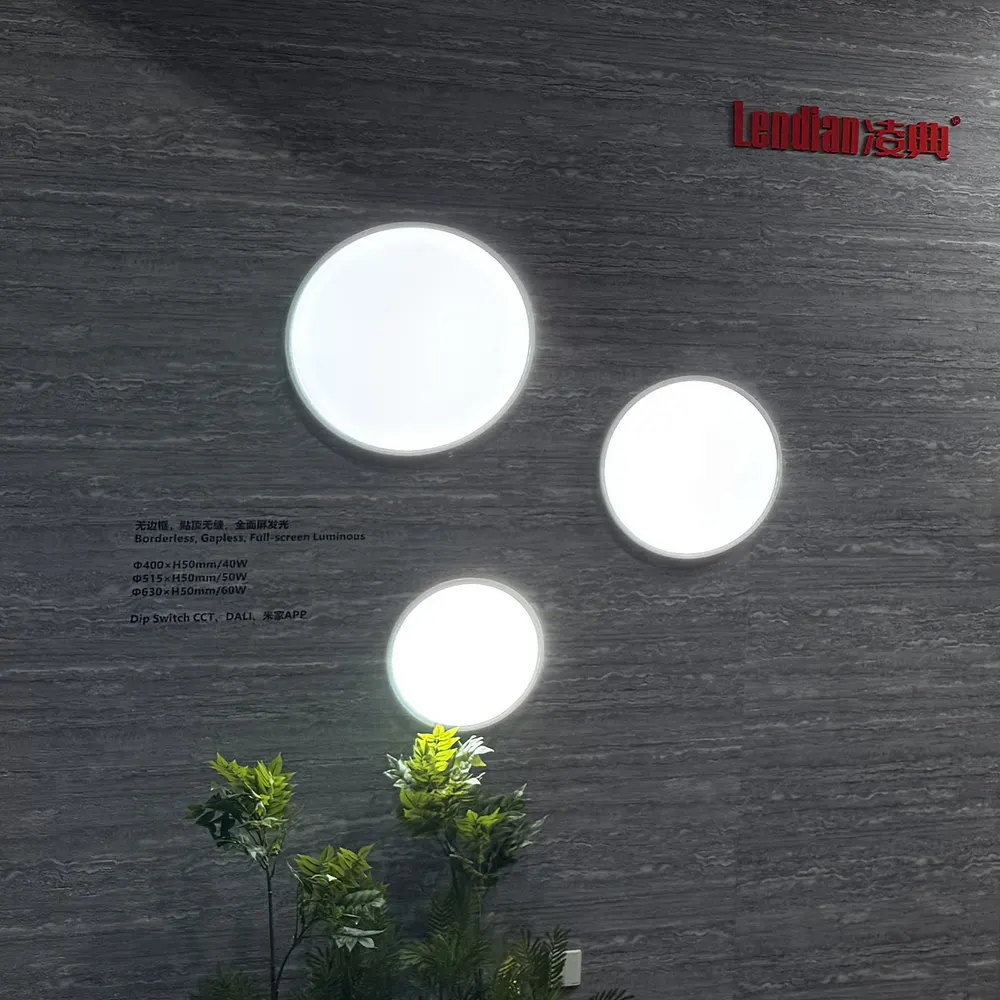 Smart Round Aluminum LED Panel Light 24-60W product sample