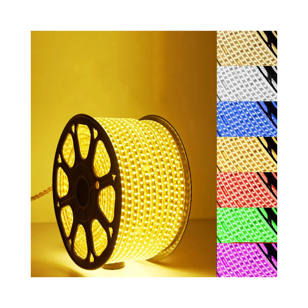 RGB Flexible SMD5050 LED Strip Light 220V