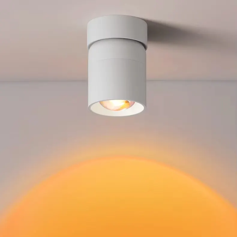 Aluminum LED Downlight