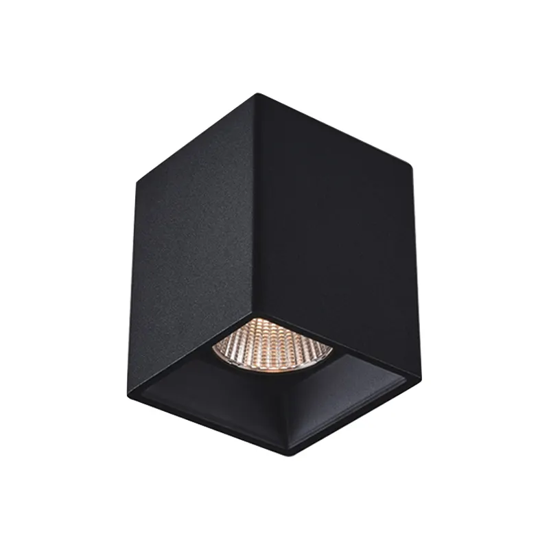 Adjustable Dimmable Surface-Mounted LED Downlight 10W 110V/220V