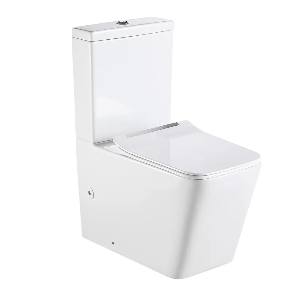 Two-Piece Dual-Flush Ceramic Toilet
