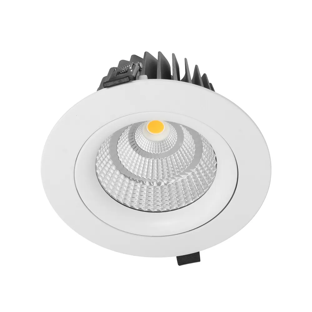 Anti-Glare Adjustable Dimmable Recessed LED Downlight 5-30W 1-10V IP50