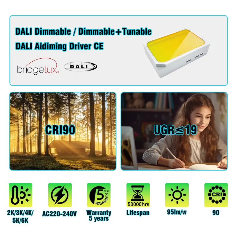 Adjustable Dimmable Aluminum Magnetic COB LED Track Spotlight 30/36W For 4-Wire Track