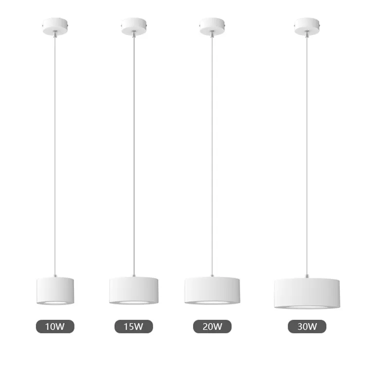 Aluminum LED Pendant Light 10-30W