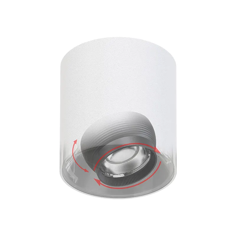 Adjustable Surface-Mounted Aluminum LED Downlight 8-20W IP65