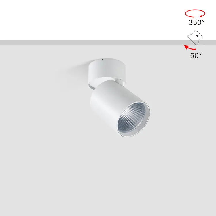 Adjustable Dimmable Surface-Mounted LED Downlight 15/25W