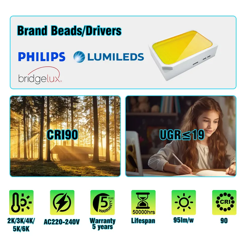 Aluminum COB LED Track Spotlight 20/30W 220V for 4-Wire Track