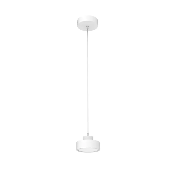 Aluminum LED Pendant Light 10-25W