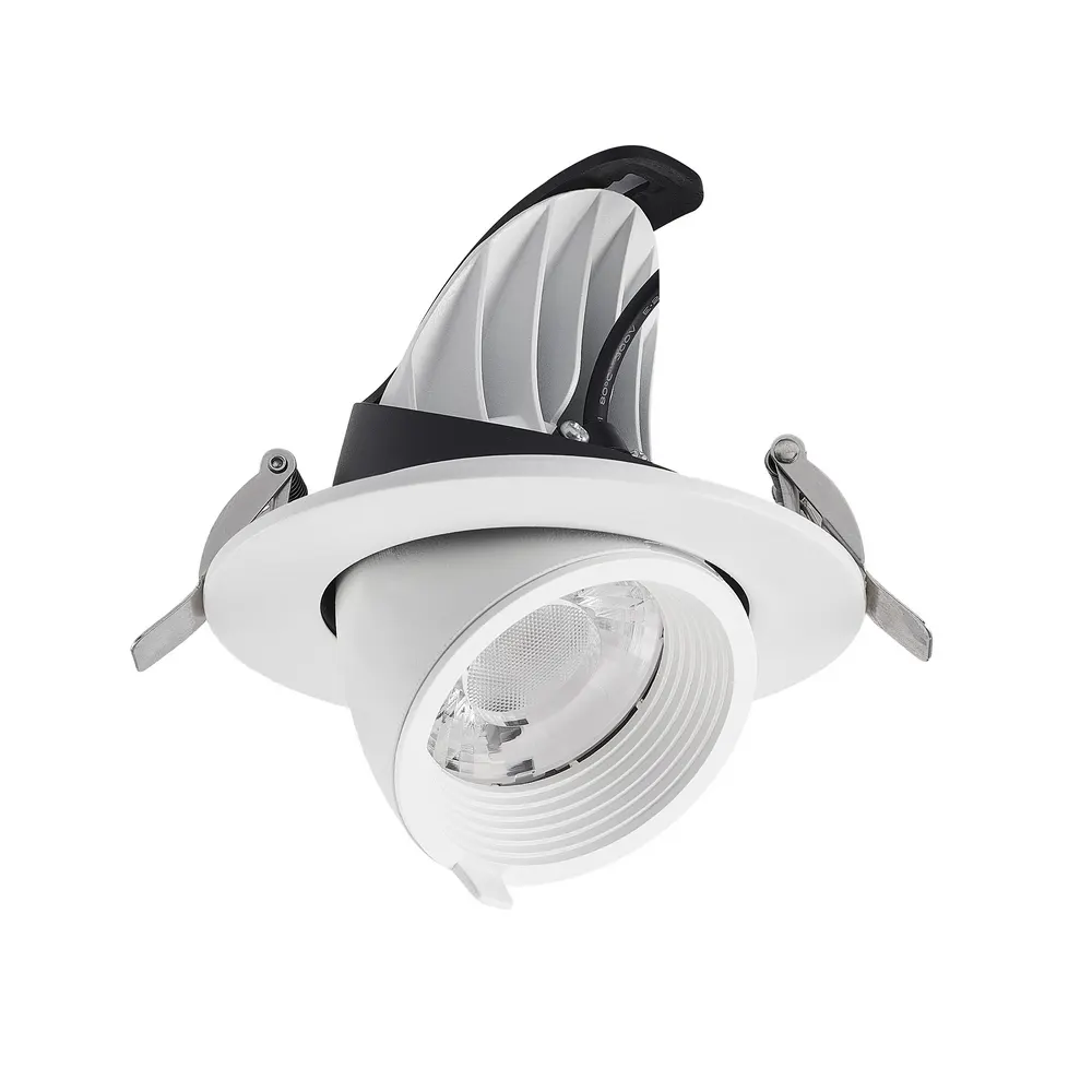 Adjustable Recessed Aluminum LED Downlight 10-40W
