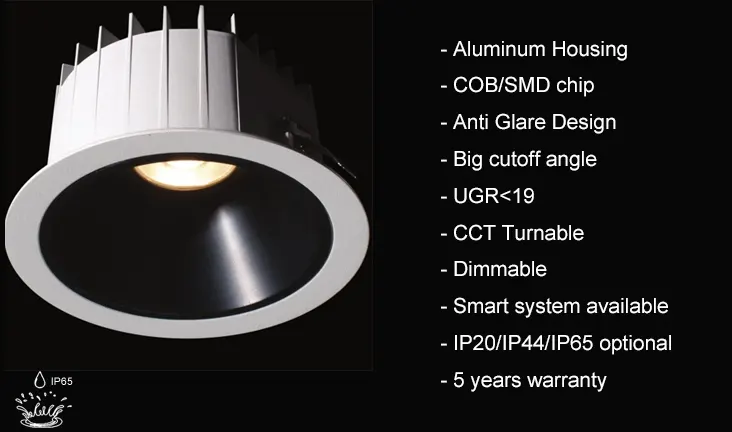 Anti-Glare Adjustable Aluminum COB LED Downlight Black/White 10-40W IP65