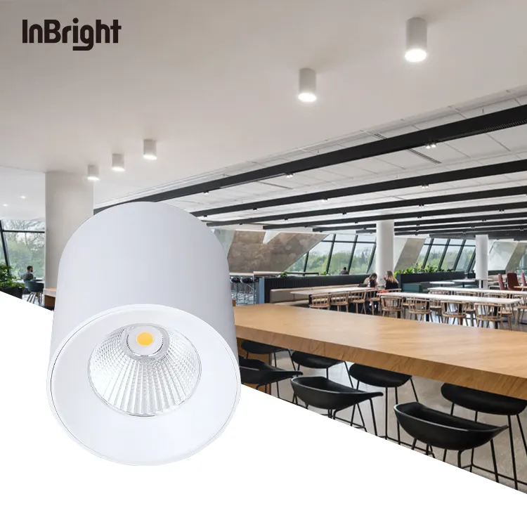 Anti-Glare Dimmable DALI Surface-Mounted COB LED Downlight Black/White 10-60W