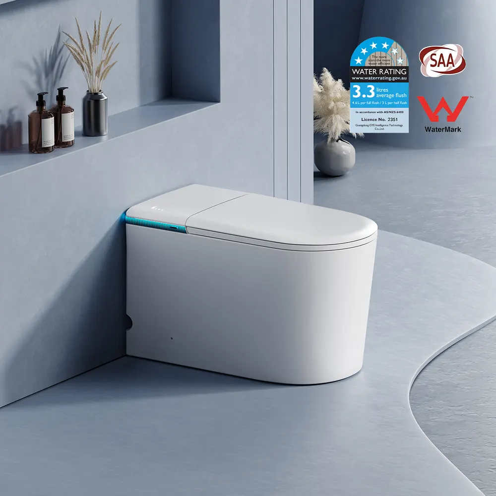 Smart Ceramic Toilet With Electronic Controls