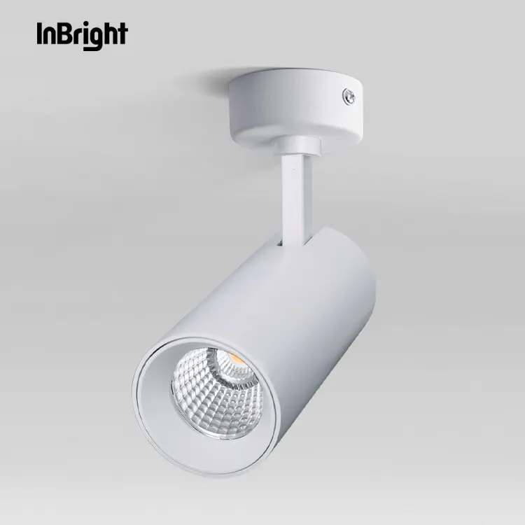 Rotatable Dimmable Surface-Mounted COB LED Downlight 12-36W IP20