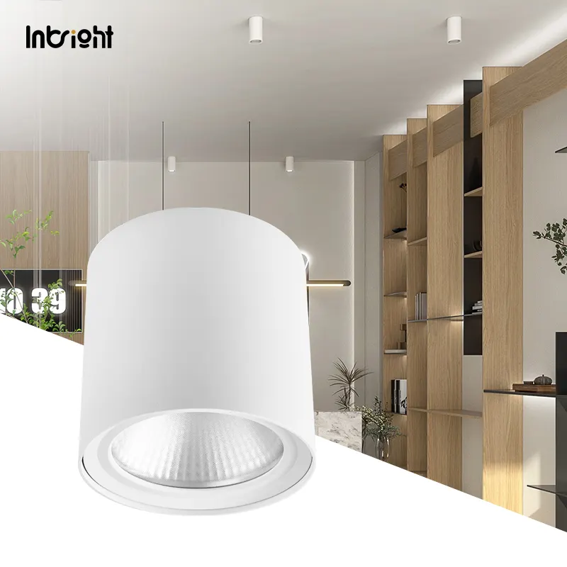 Surface-Mounted Aluminum LED Downlight 15-50W IP65