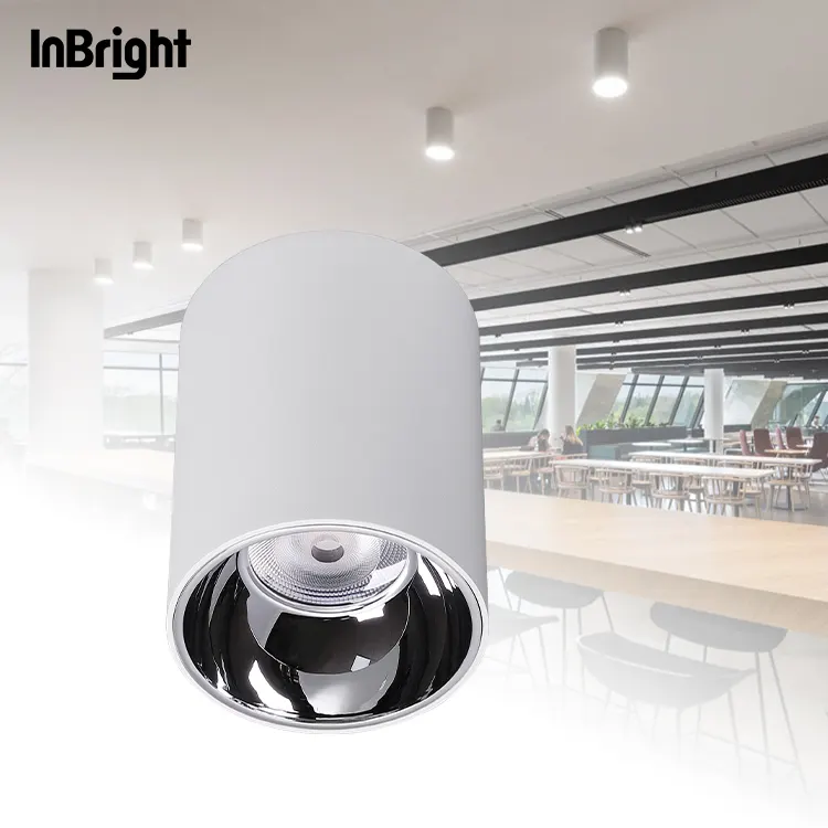 Surface-Mounted Aluminum COB LED Downlight 10-50W