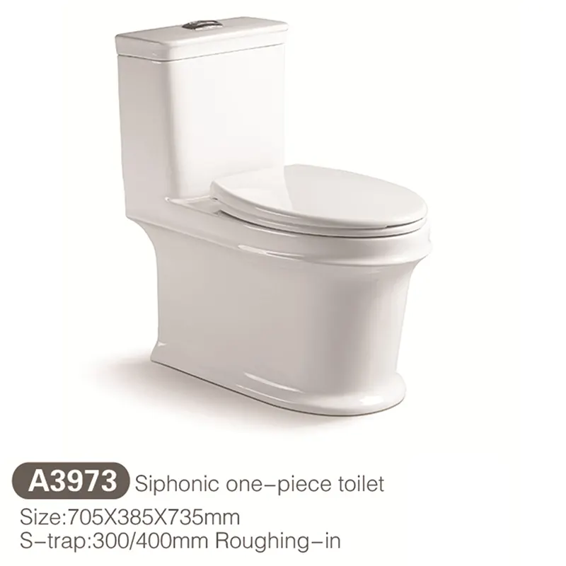 One-Piece Ceramic Toilet For Bathroom Installation