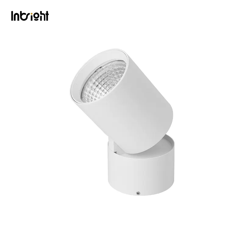 Adjustable Dimmable Surface-Mounted LED Downlight 15/25W